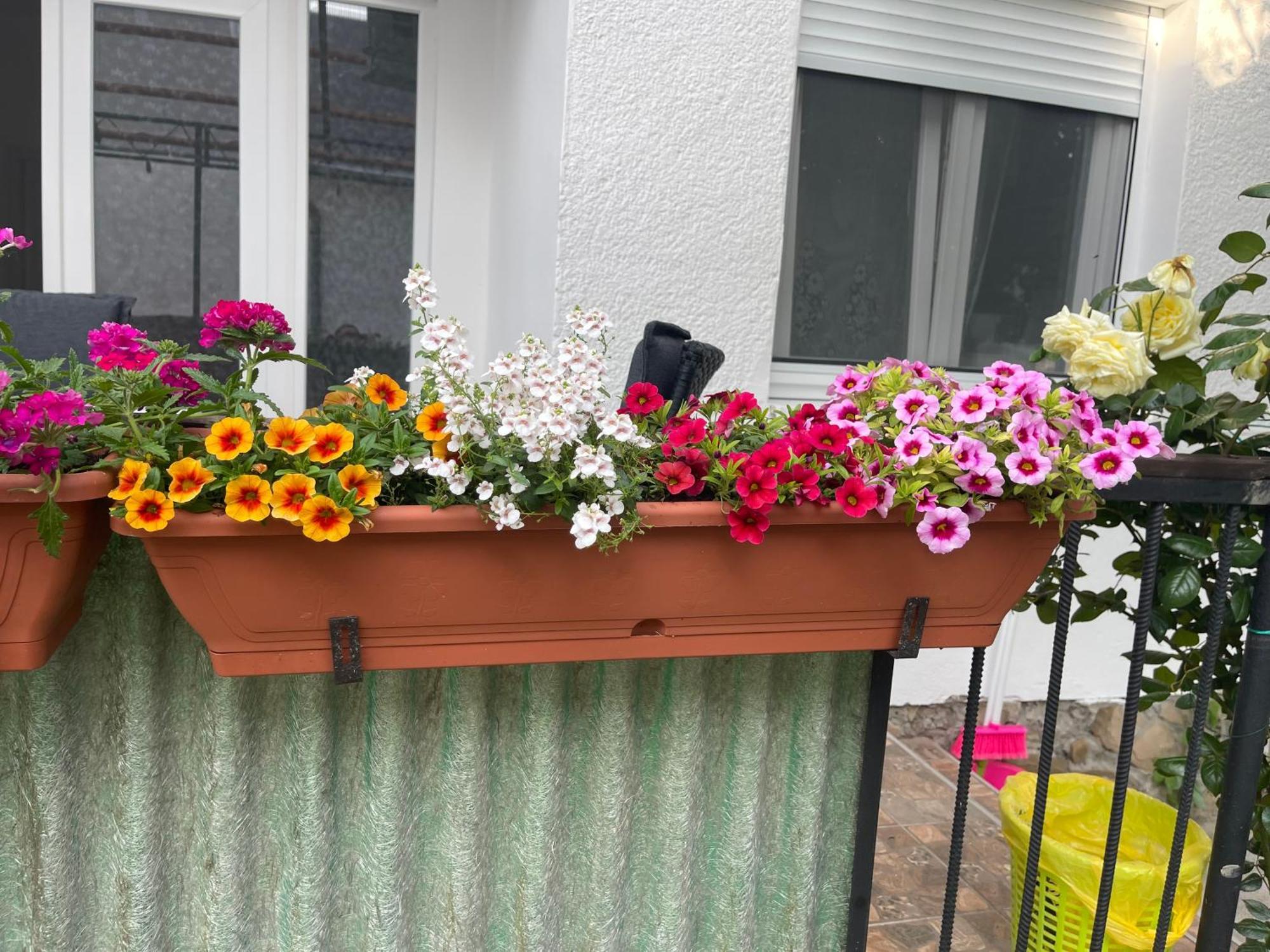 Valentina Apartman Balatonmáriafürdő エクステリア 写真