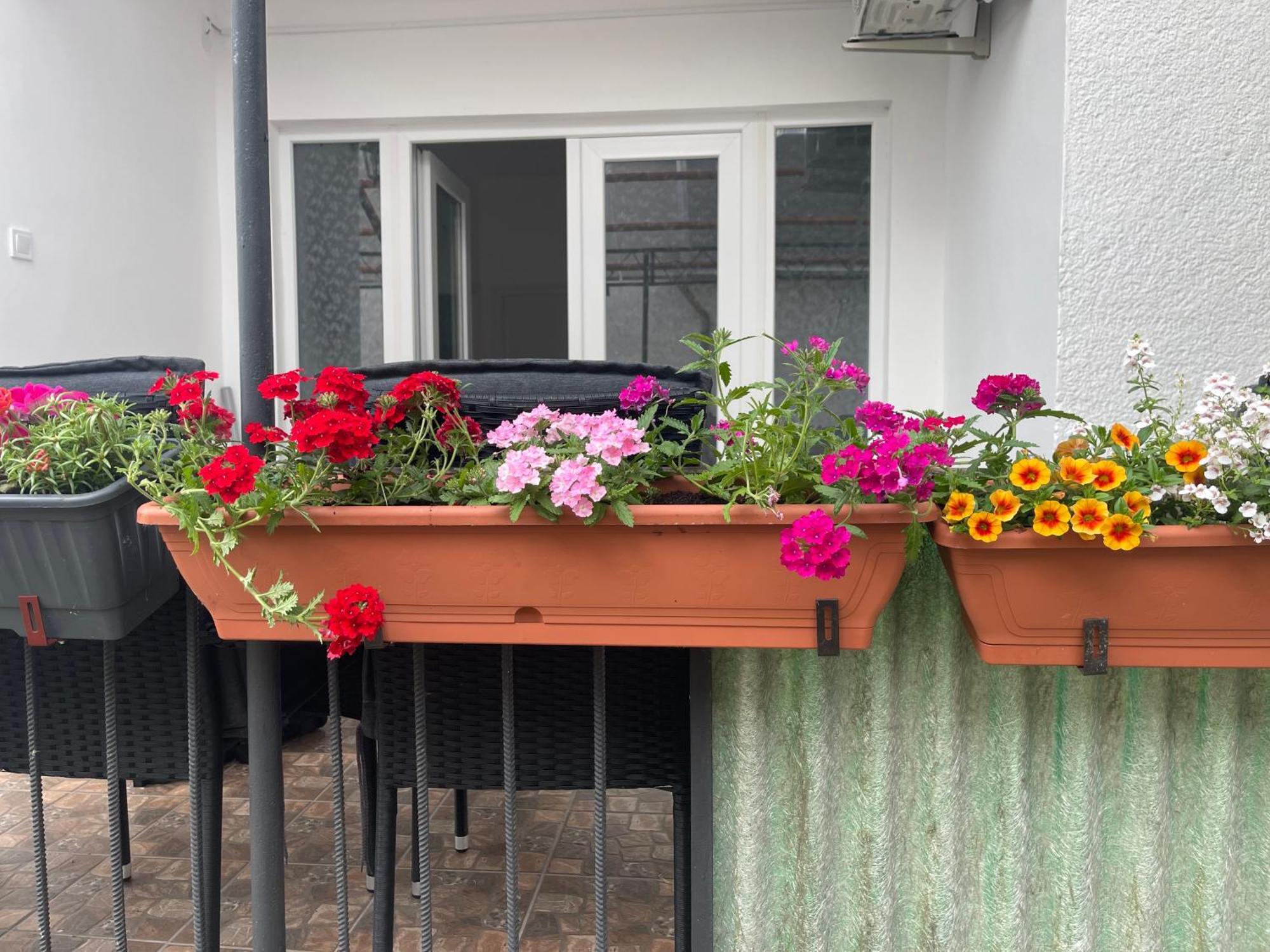 Valentina Apartman Balatonmáriafürdő エクステリア 写真